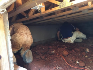 Competent Crawl Space Encapsulation Will Enhance Your House