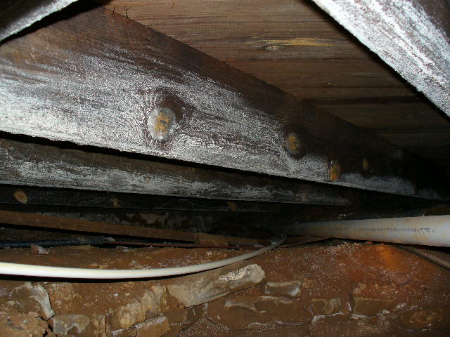 Ensuring Clean Air Quality in Dry Basements and Crawlspaces