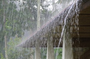Outdoor Drainage and Waterproofing Specialists in Atlanta