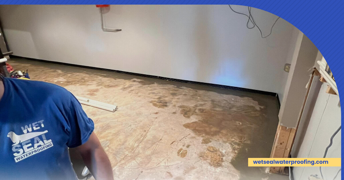 The Musty Smell in Basement May Be a Sign of Water Damage